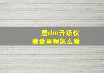 唐dm升级仪表盘里程怎么看