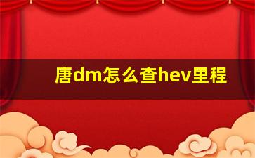 唐dm怎么查hev里程