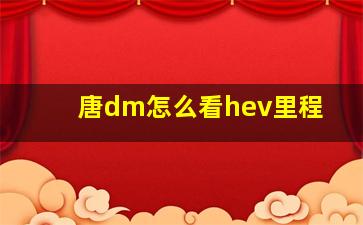 唐dm怎么看hev里程