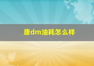 唐dm油耗怎么样