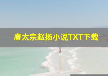 唐太宗赵扬小说TXT下载