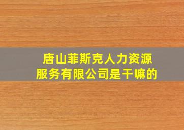 唐山菲斯克人力资源服务有限公司是干嘛的