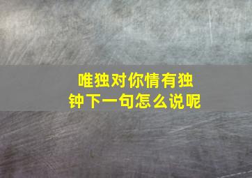 唯独对你情有独钟下一句怎么说呢