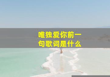 唯独爱你前一句歌词是什么