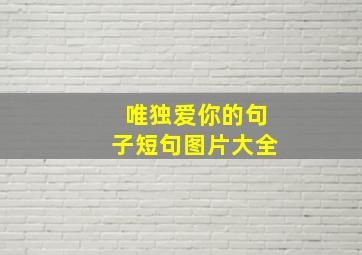 唯独爱你的句子短句图片大全