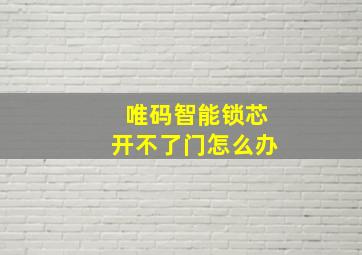 唯码智能锁芯开不了门怎么办