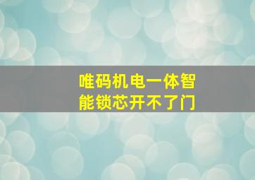 唯码机电一体智能锁芯开不了门