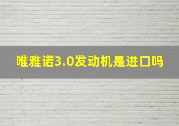 唯雅诺3.0发动机是进口吗