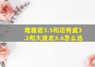 唯雅诺3.5和迈特威3.2和大捷龙3.6怎么选