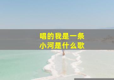 唱的我是一条小河是什么歌