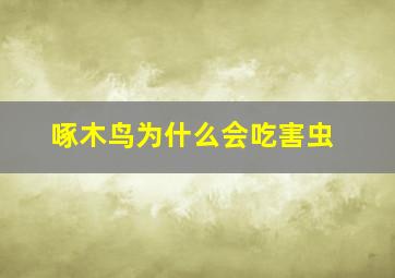 啄木鸟为什么会吃害虫