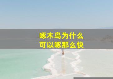 啄木鸟为什么可以啄那么快