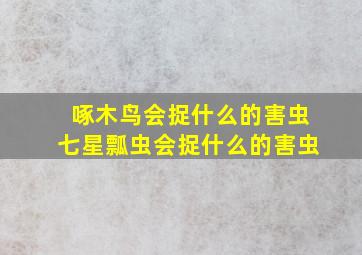 啄木鸟会捉什么的害虫七星瓢虫会捉什么的害虫