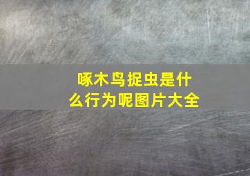 啄木鸟捉虫是什么行为呢图片大全