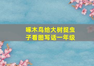 啄木鸟给大树捉虫子看图写话一年级