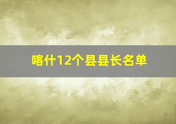 喀什12个县县长名单