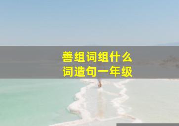 善组词组什么词造句一年级