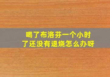 喝了布洛芬一个小时了还没有退烧怎么办呀