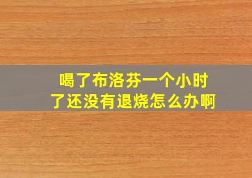 喝了布洛芬一个小时了还没有退烧怎么办啊