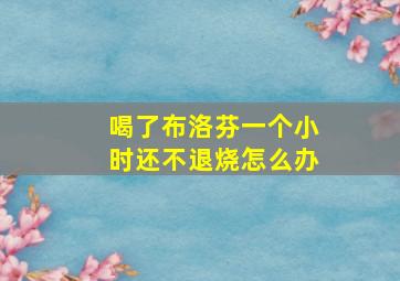 喝了布洛芬一个小时还不退烧怎么办