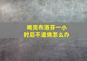 喝完布洛芬一小时后不退烧怎么办