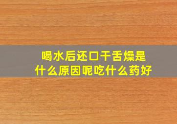 喝水后还口干舌燥是什么原因呢吃什么药好