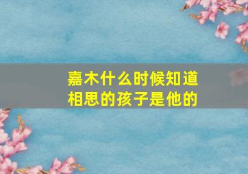 嘉木什么时候知道相思的孩子是他的