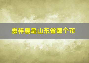 嘉祥县是山东省哪个市