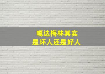 嘎达梅林其实是坏人还是好人