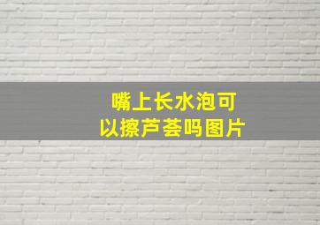 嘴上长水泡可以擦芦荟吗图片