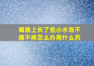 嘴唇上长了些小水泡不痛不痒怎么办用什么药