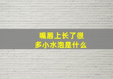 嘴唇上长了很多小水泡是什么