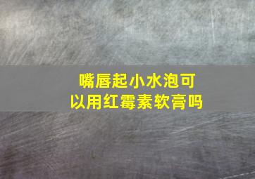 嘴唇起小水泡可以用红霉素软膏吗