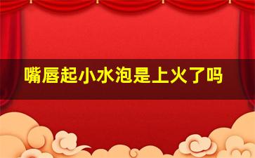 嘴唇起小水泡是上火了吗