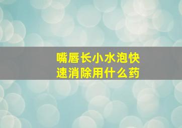 嘴唇长小水泡快速消除用什么药