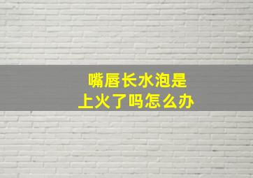 嘴唇长水泡是上火了吗怎么办