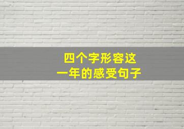 四个字形容这一年的感受句子