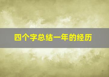 四个字总结一年的经历