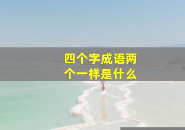 四个字成语两个一样是什么