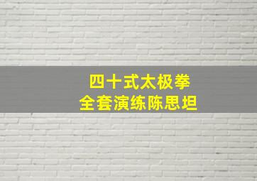 四十式太极拳全套演练陈思坦