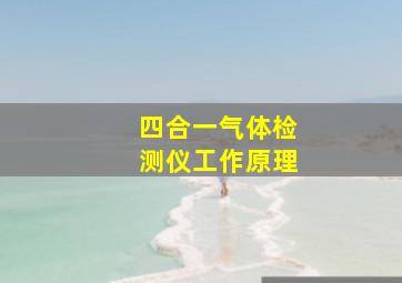 四合一气体检测仪工作原理