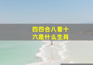 四四合八看十六是什么生肖