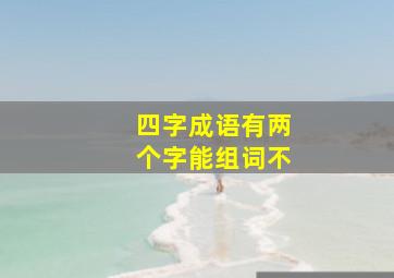 四字成语有两个字能组词不