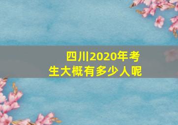 四川2020年考生大概有多少人呢