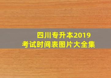 四川专升本2019考试时间表图片大全集