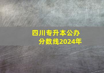 四川专升本公办分数线2024年