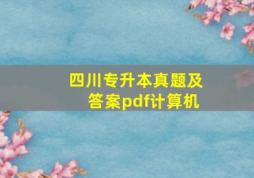 四川专升本真题及答案pdf计算机