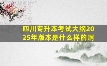 四川专升本考试大纲2025年版本是什么样的啊