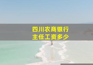 四川农商银行主任工资多少