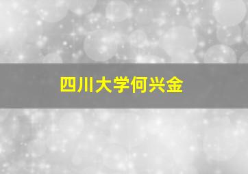 四川大学何兴金